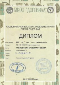 Павловский бриллиант Белла