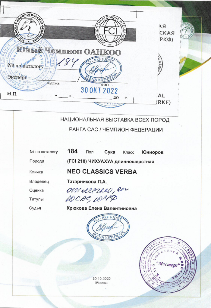 Нео Классикс Верба