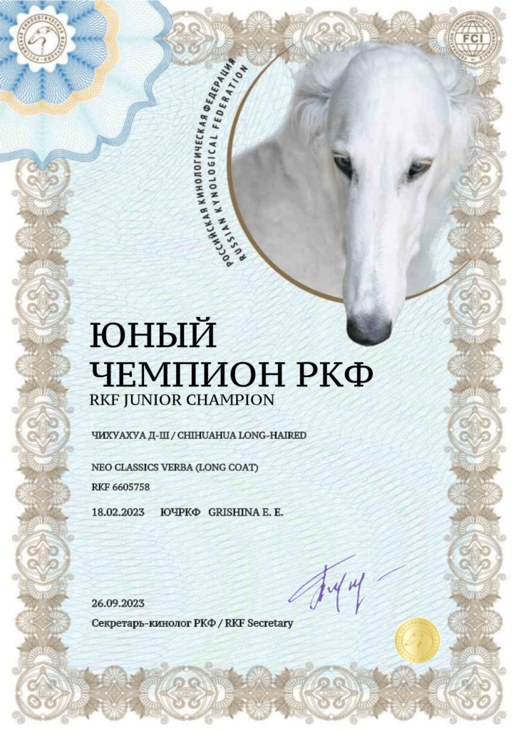 Нео Классикс Верба