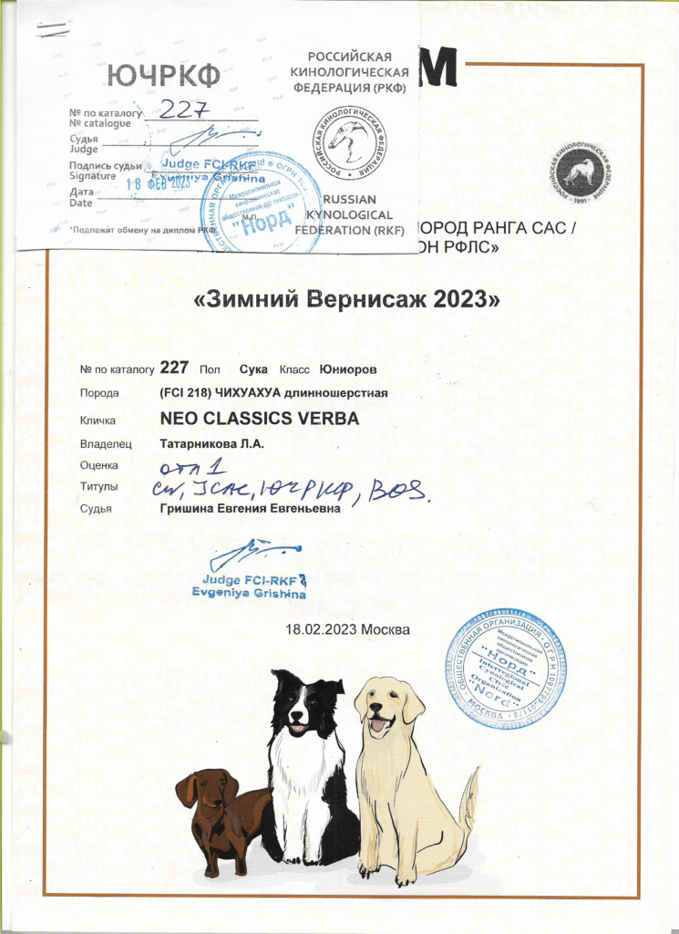 Нео Классикс Верба