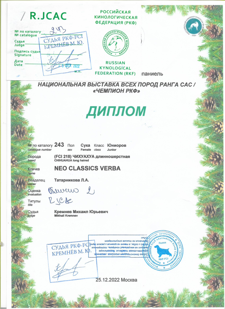 Нео Классикс Верба